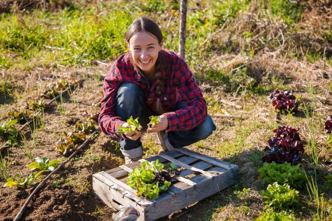 tecaj-permakulturnog-dizajna-drustveni-vrt