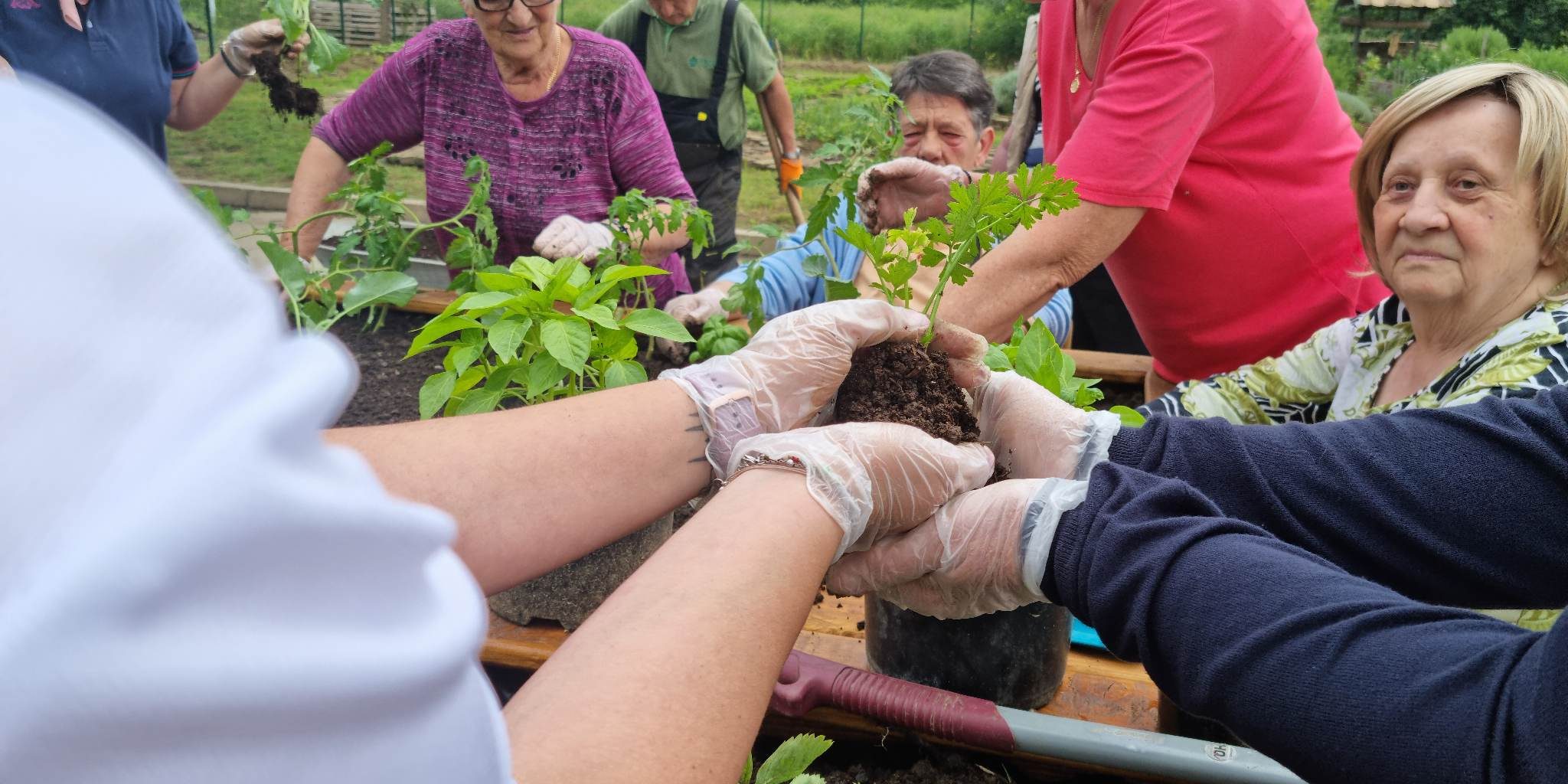 348360356_592861489655586_4416029407172731787_n